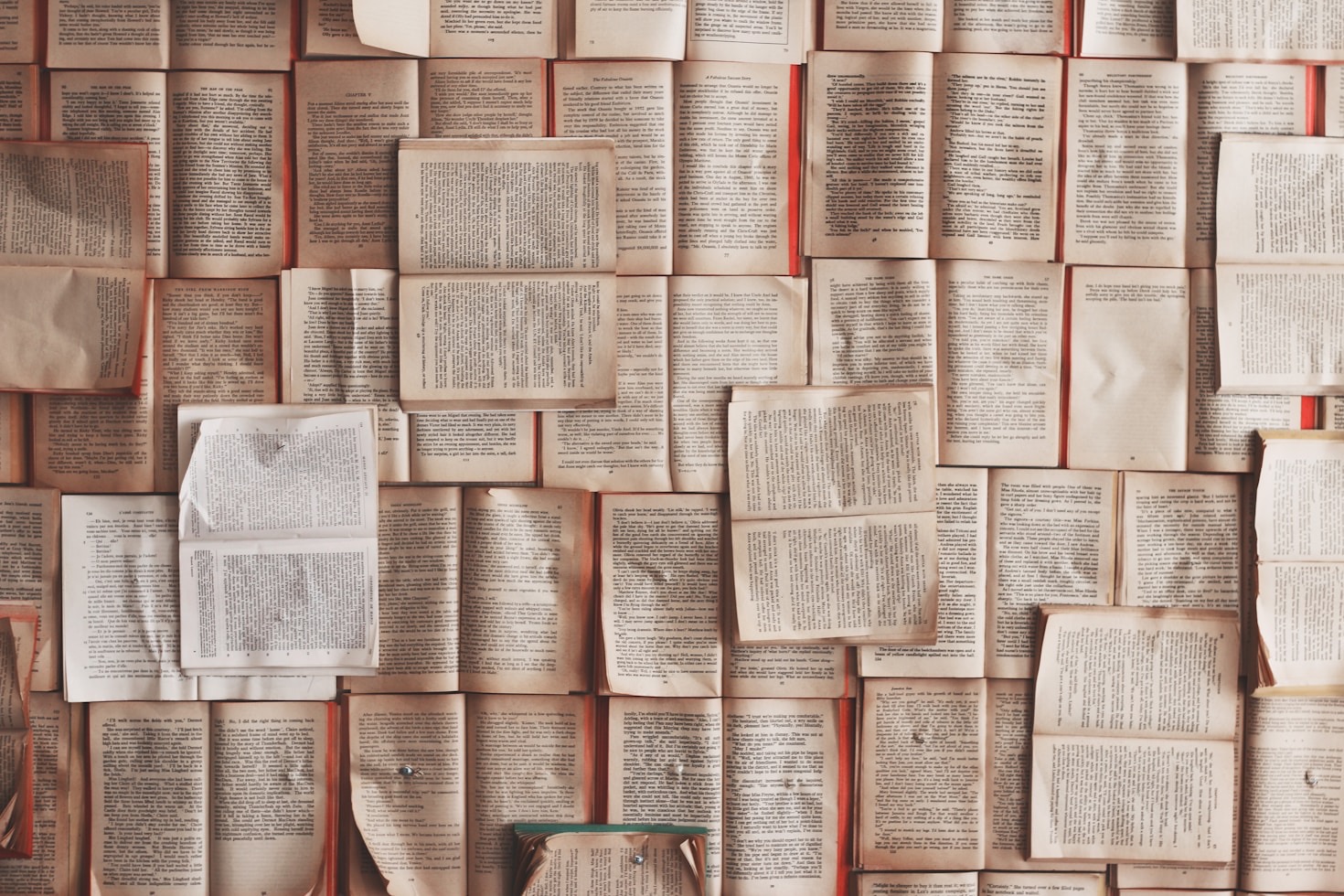 Mein aktueller Liebling aus dem Bücherregal